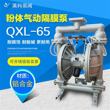 鋁合金粉體自吸（xī）泵